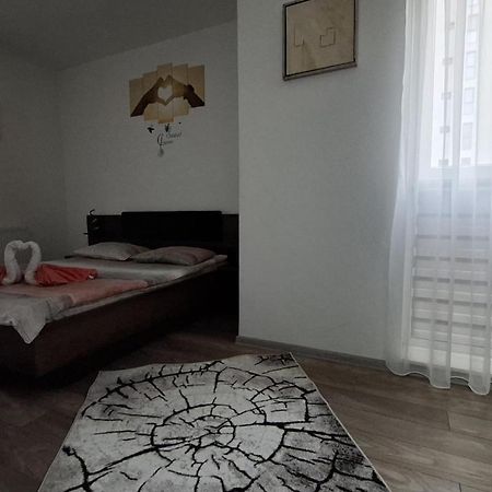 Ludi House Apartment Târgu-Mureş エクステリア 写真