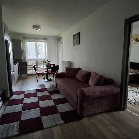 Ludi House Apartment Târgu-Mureş エクステリア 写真