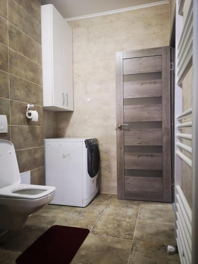 Ludi House Apartment Târgu-Mureş エクステリア 写真