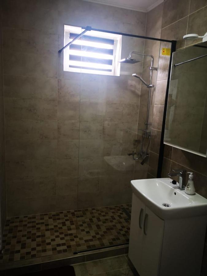 Ludi House Apartment Târgu-Mureş エクステリア 写真