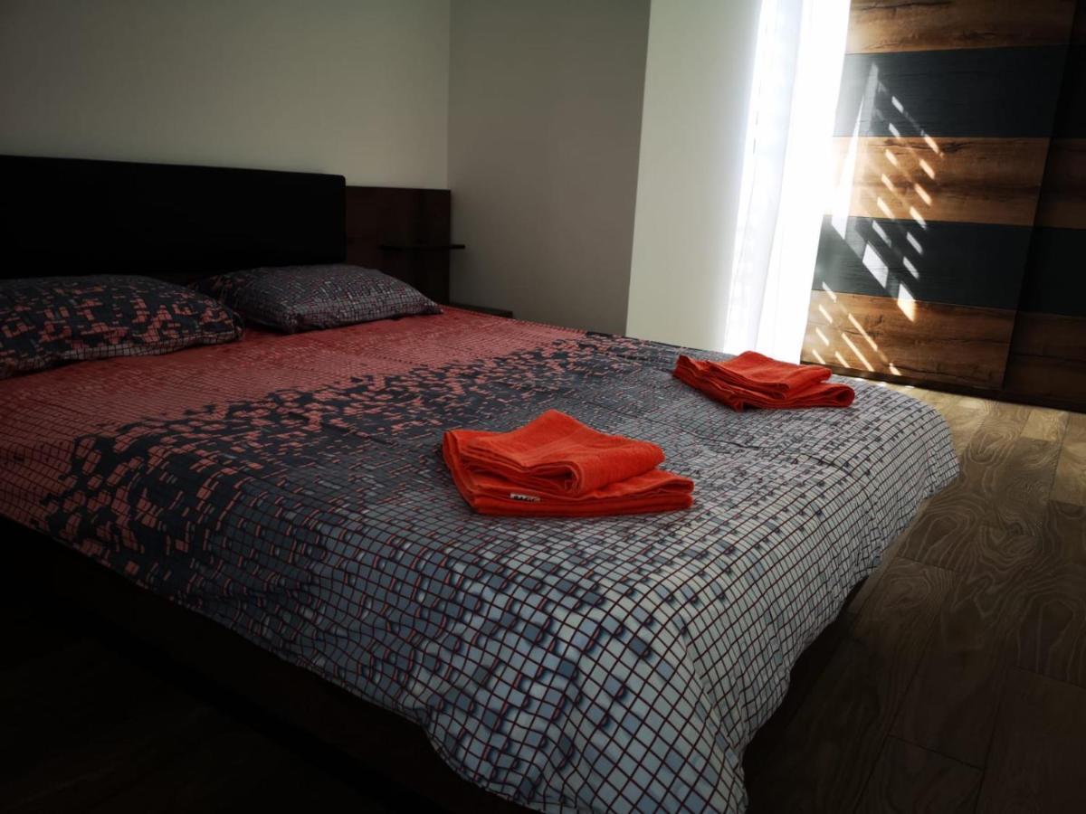 Ludi House Apartment Târgu-Mureş エクステリア 写真