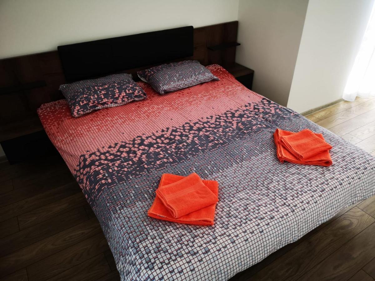 Ludi House Apartment Târgu-Mureş エクステリア 写真