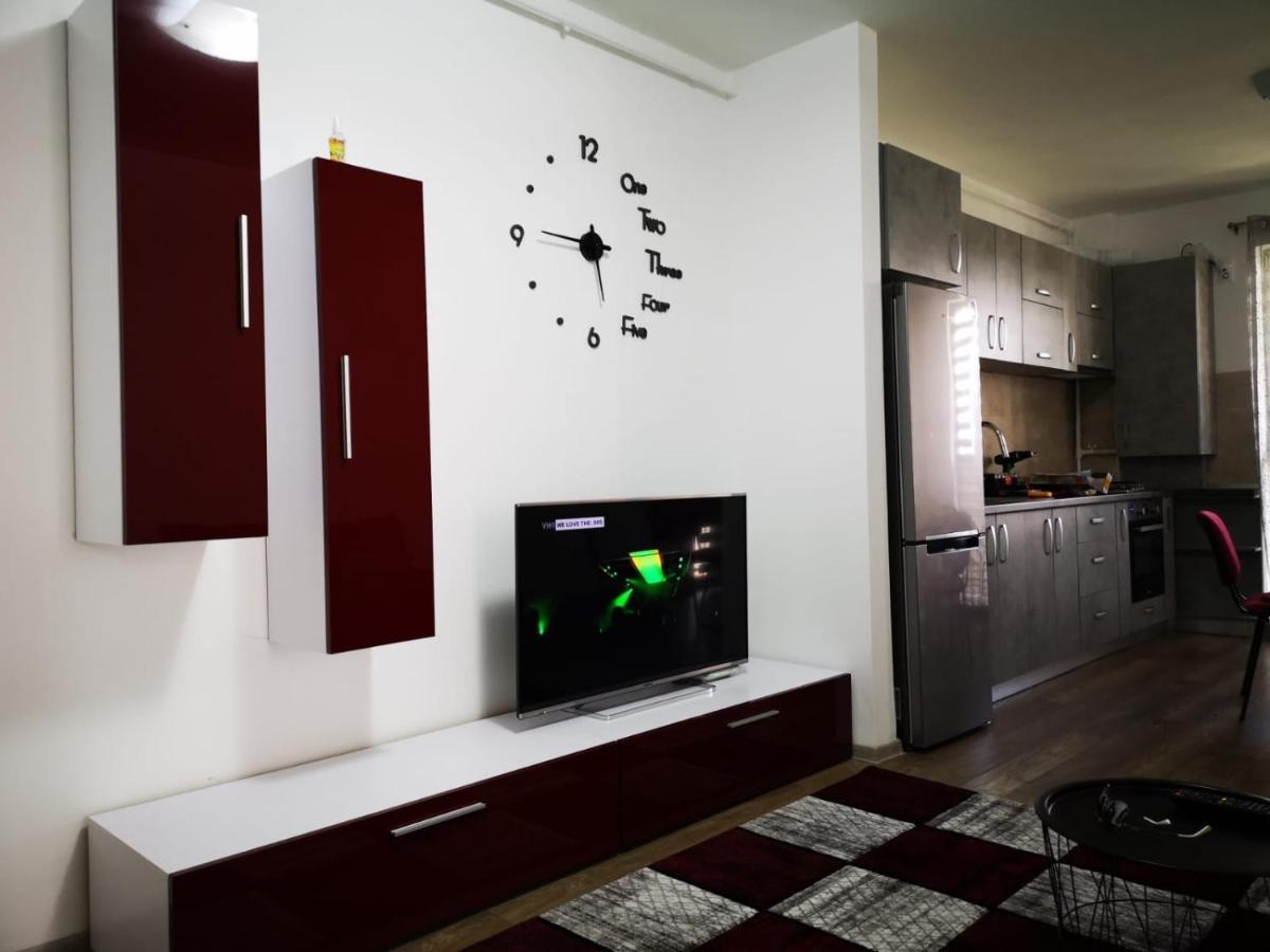Ludi House Apartment Târgu-Mureş エクステリア 写真