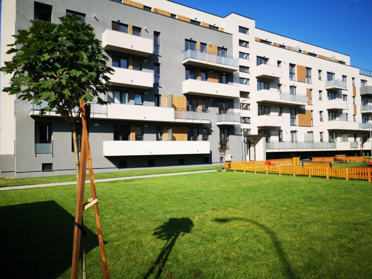 Ludi House Apartment Târgu-Mureş エクステリア 写真