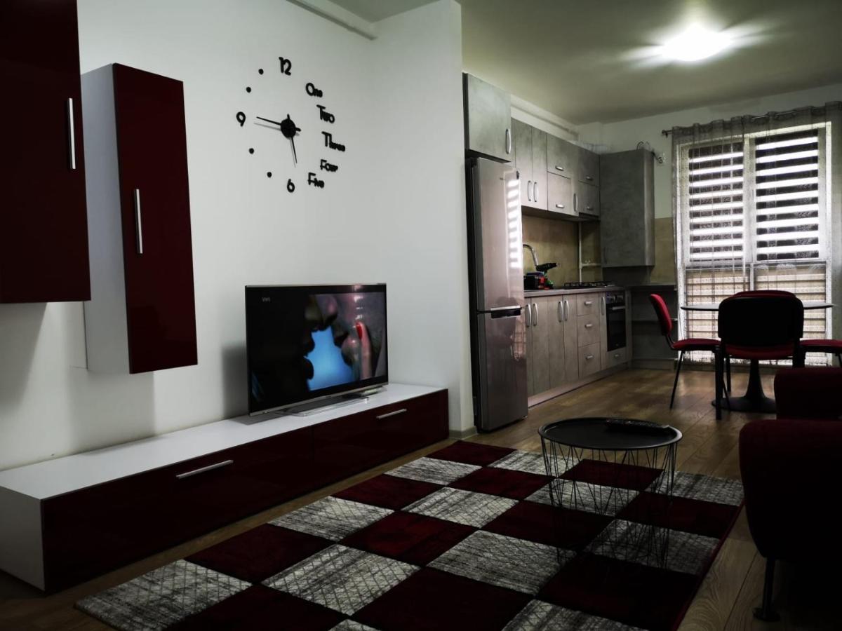 Ludi House Apartment Târgu-Mureş エクステリア 写真