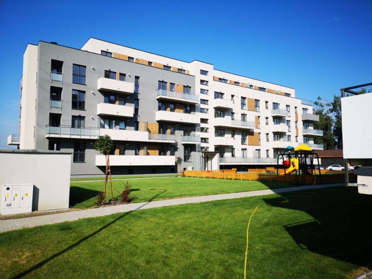 Ludi House Apartment Târgu-Mureş エクステリア 写真
