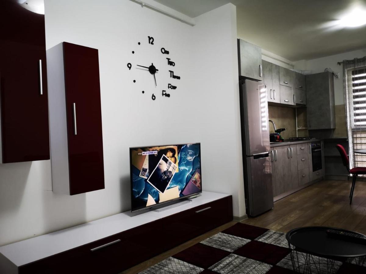 Ludi House Apartment Târgu-Mureş エクステリア 写真