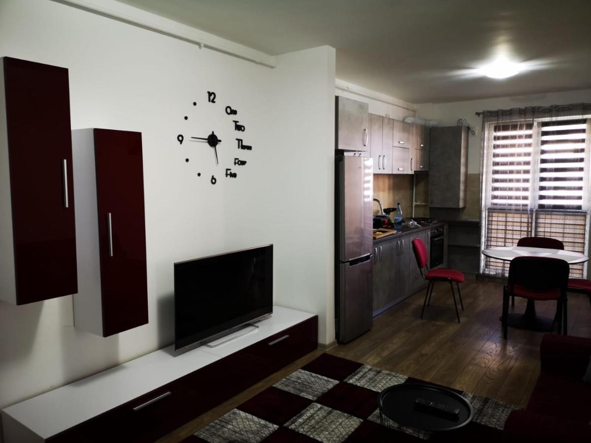 Ludi House Apartment Târgu-Mureş エクステリア 写真