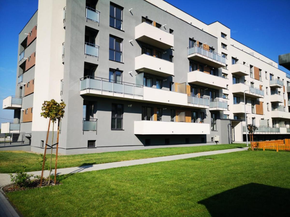 Ludi House Apartment Târgu-Mureş エクステリア 写真