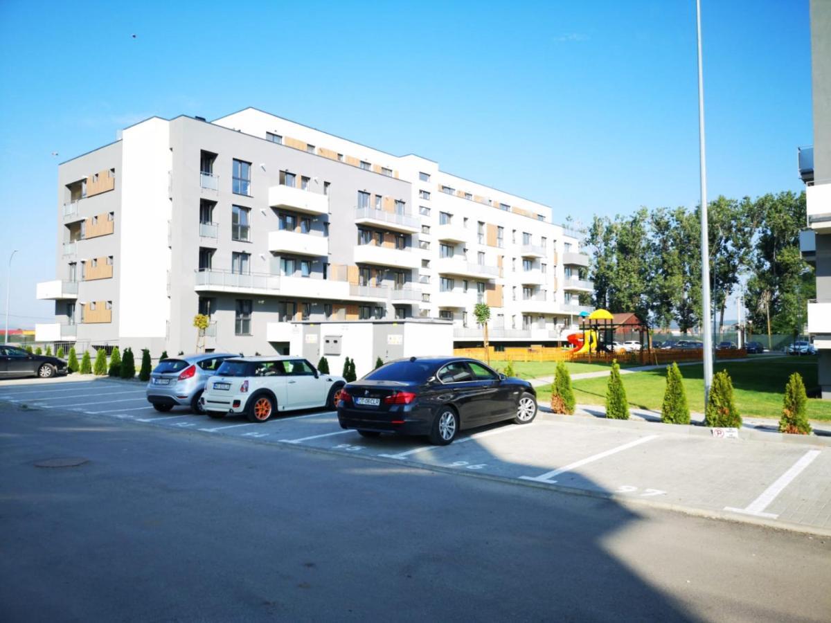 Ludi House Apartment Târgu-Mureş エクステリア 写真