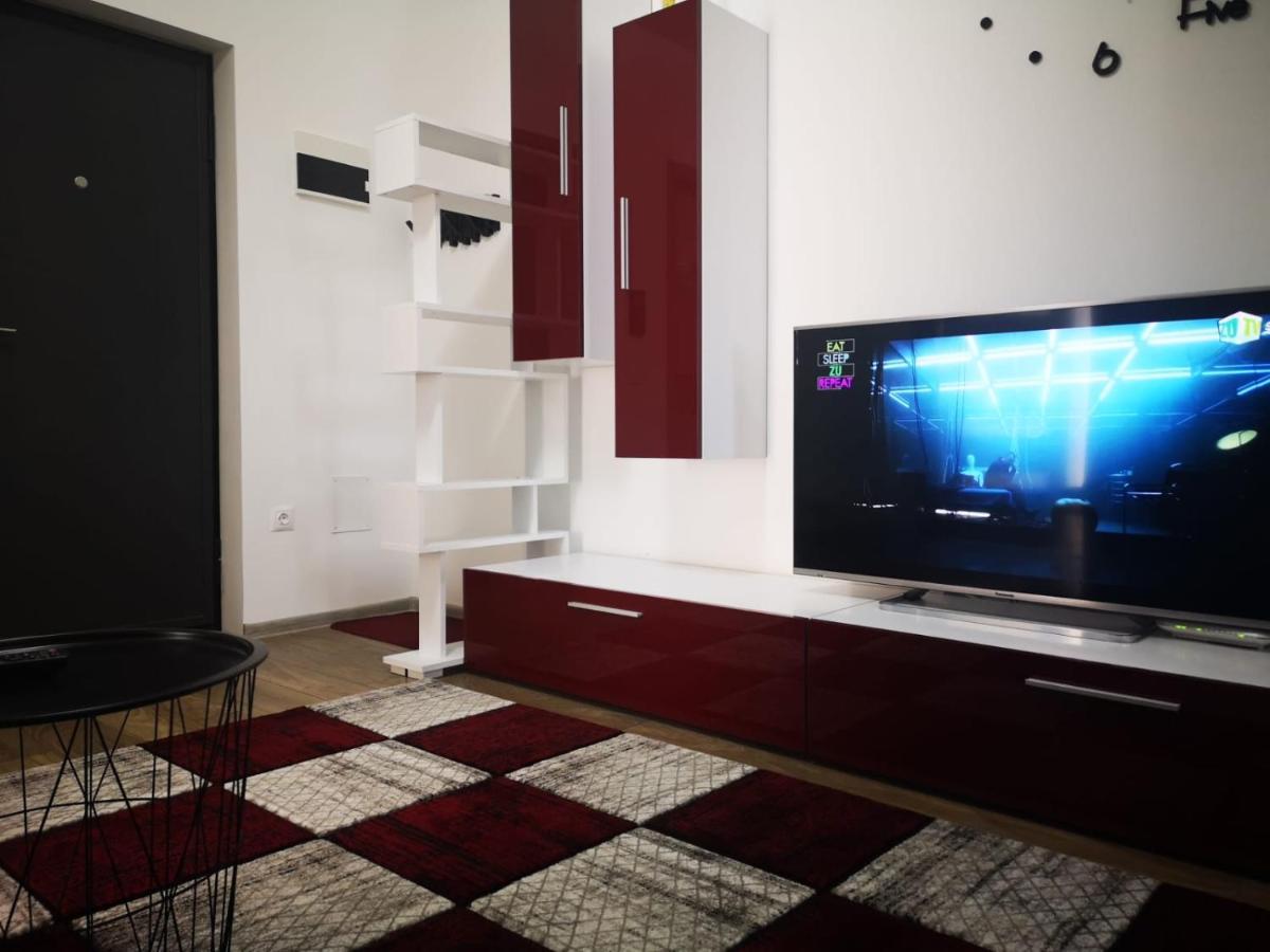 Ludi House Apartment Târgu-Mureş エクステリア 写真