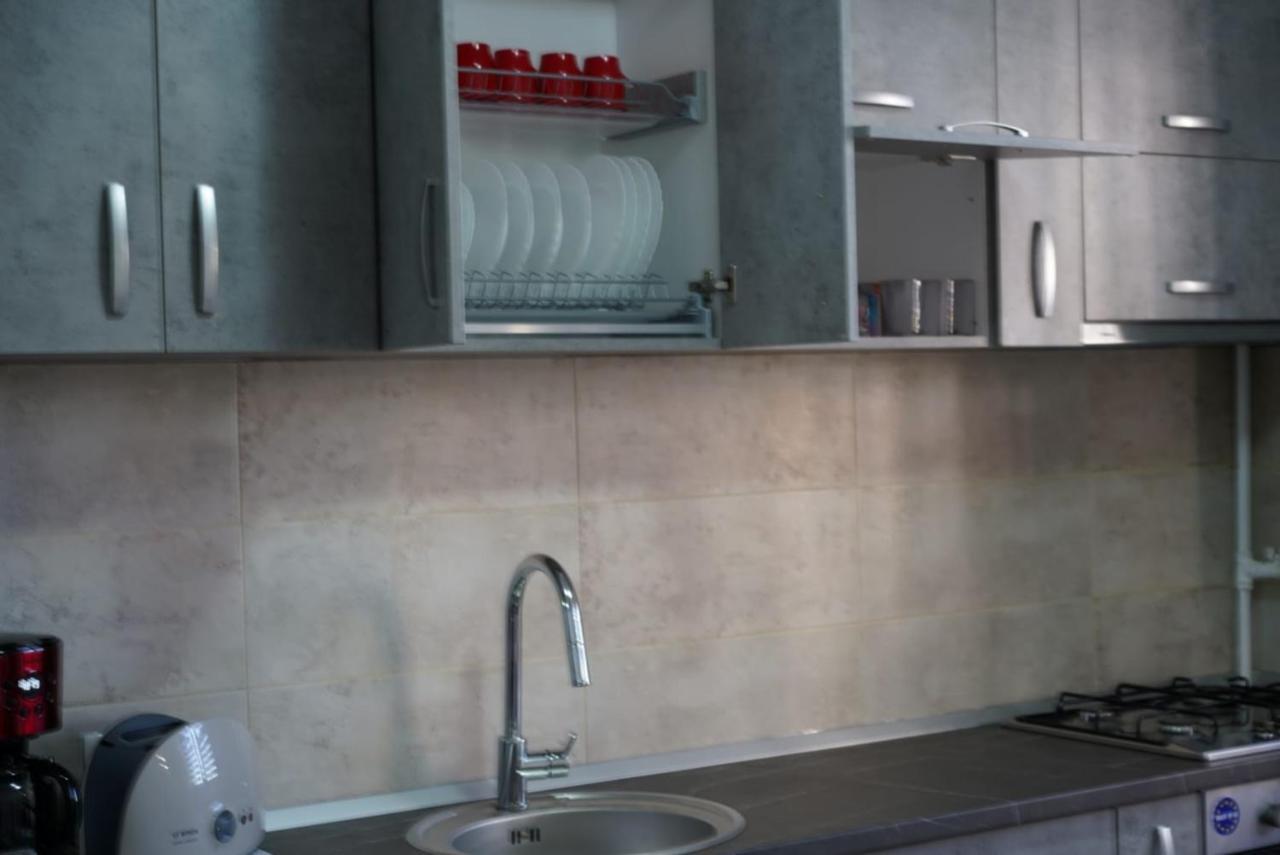 Ludi House Apartment Târgu-Mureş エクステリア 写真