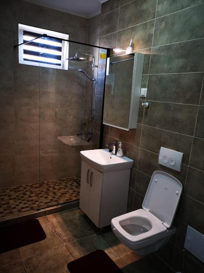 Ludi House Apartment Târgu-Mureş エクステリア 写真