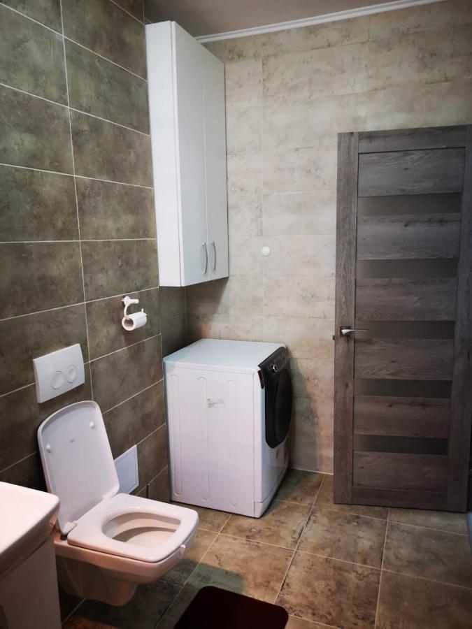 Ludi House Apartment Târgu-Mureş エクステリア 写真