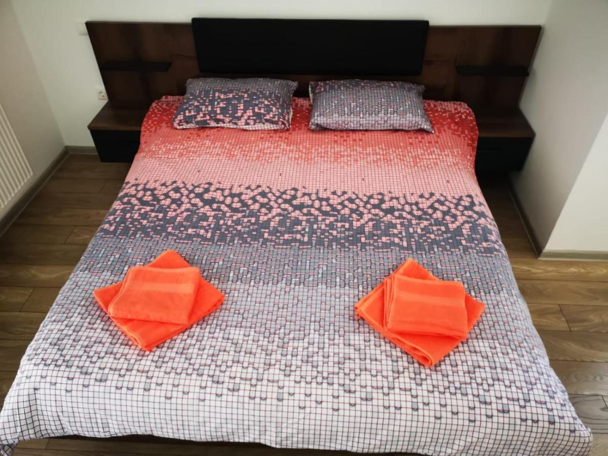 Ludi House Apartment Târgu-Mureş エクステリア 写真