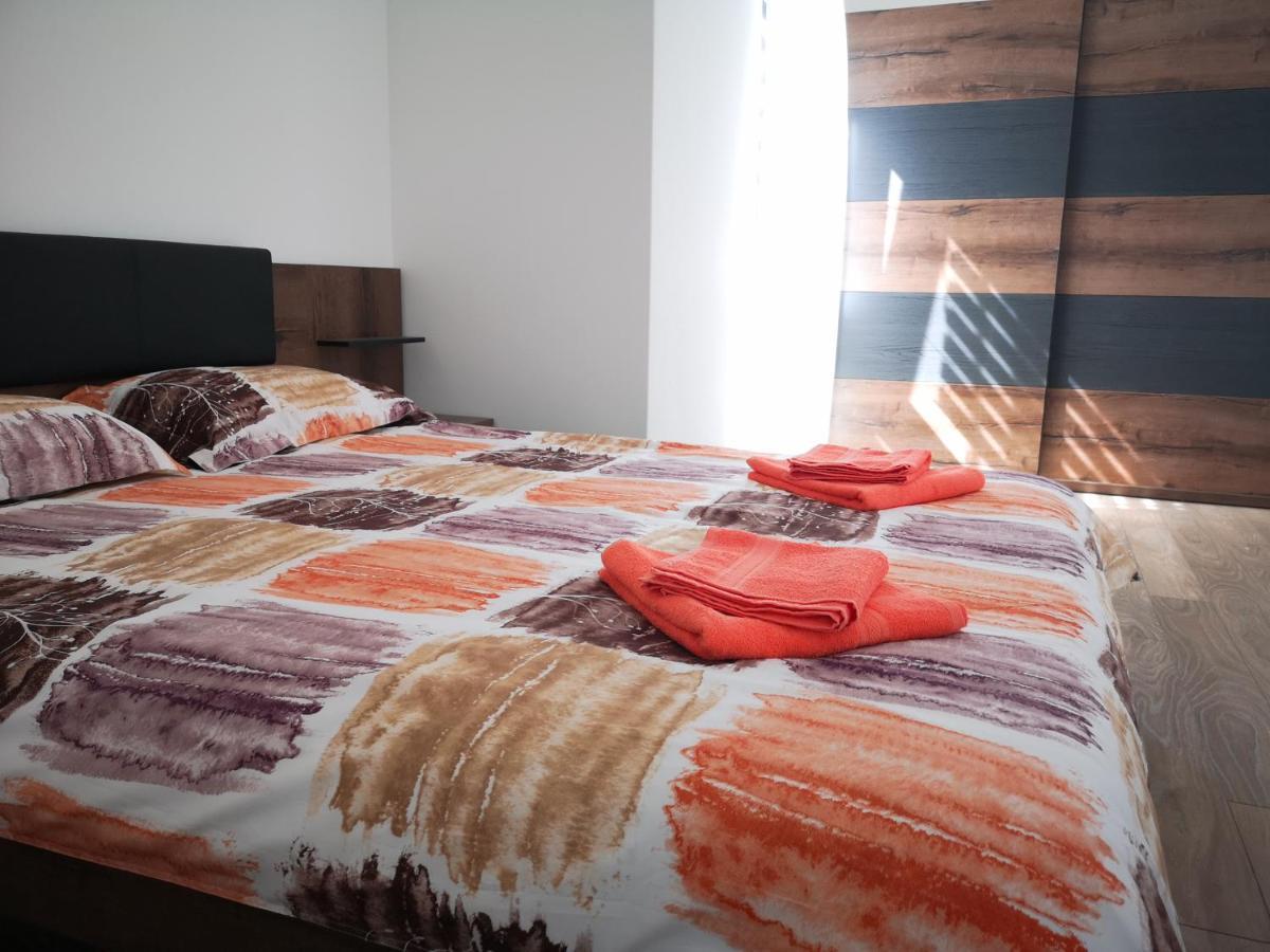 Ludi House Apartment Târgu-Mureş エクステリア 写真
