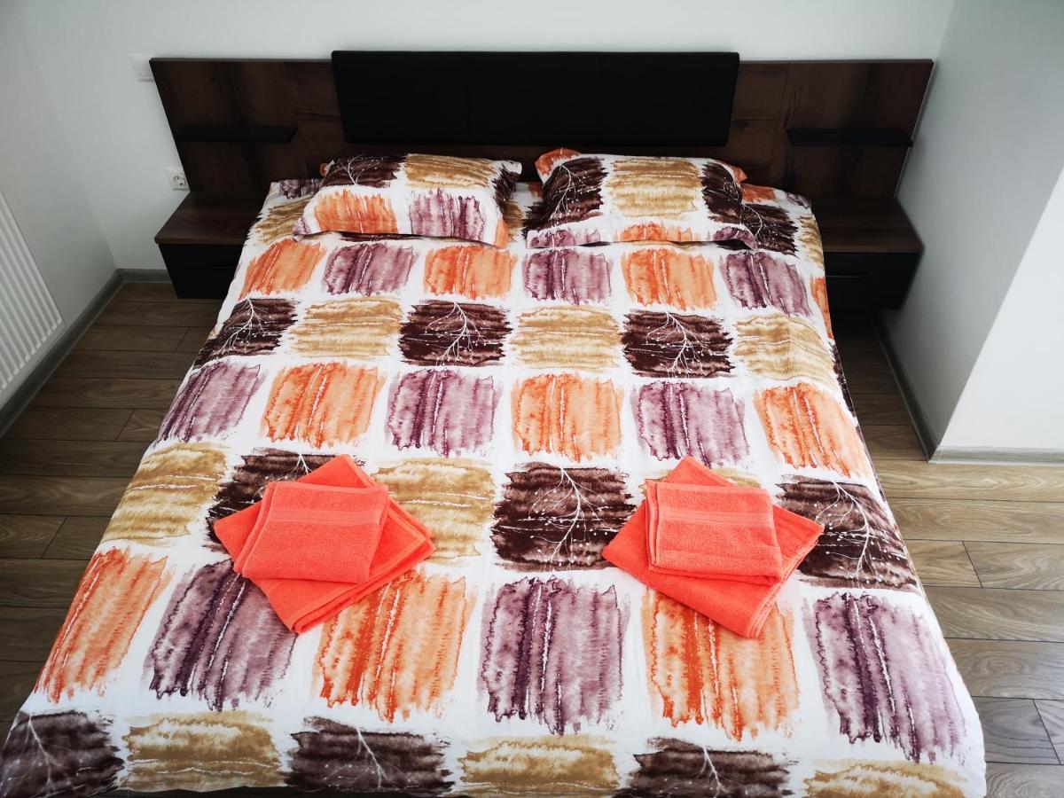 Ludi House Apartment Târgu-Mureş エクステリア 写真