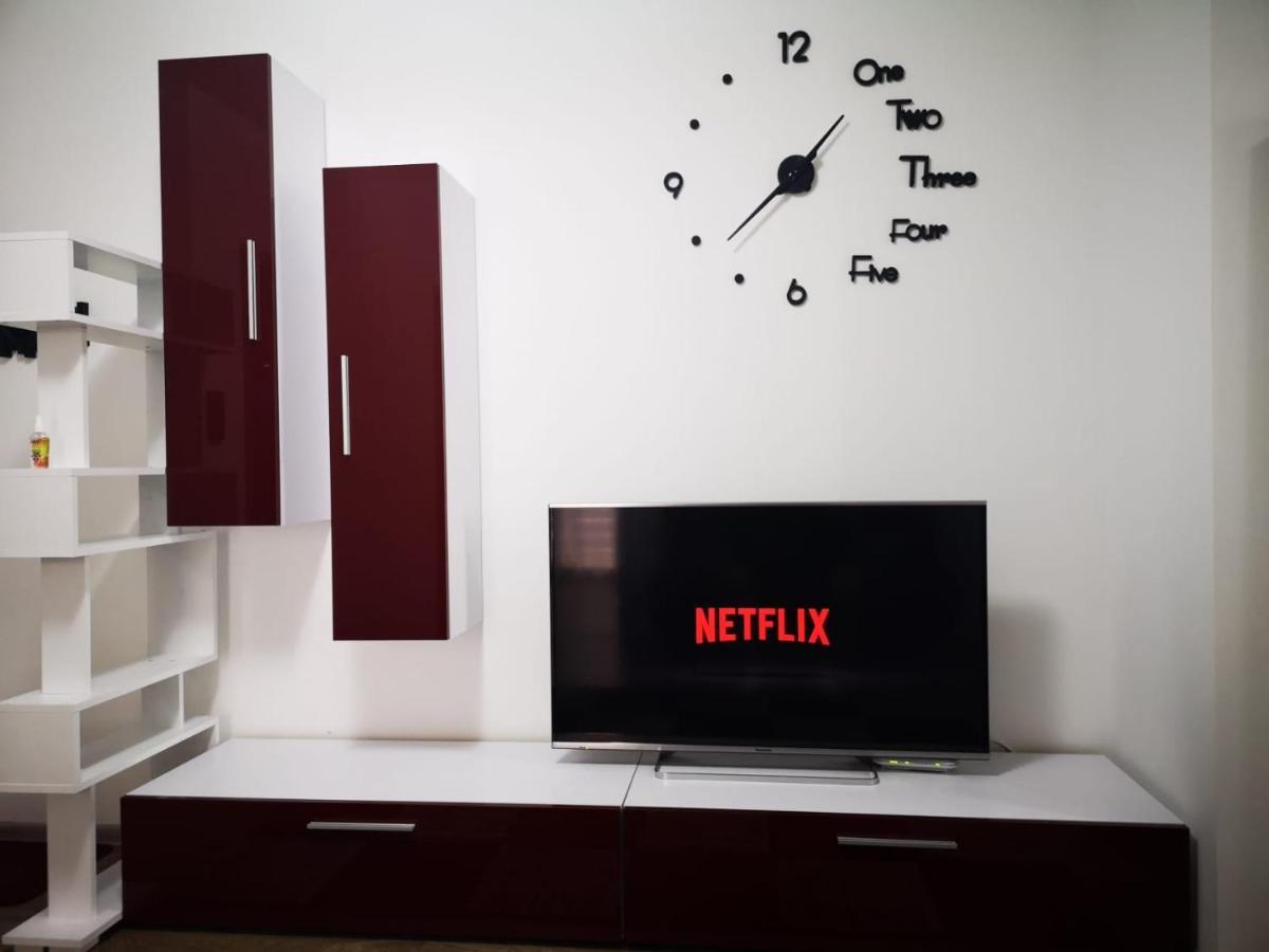 Ludi House Apartment Târgu-Mureş エクステリア 写真