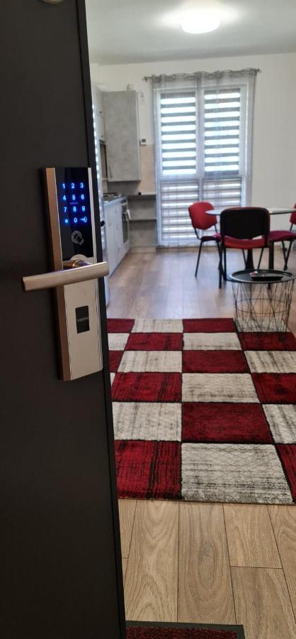 Ludi House Apartment Târgu-Mureş エクステリア 写真