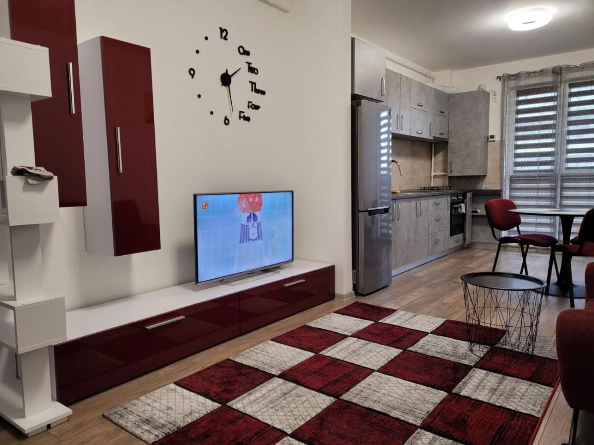 Ludi House Apartment Târgu-Mureş エクステリア 写真