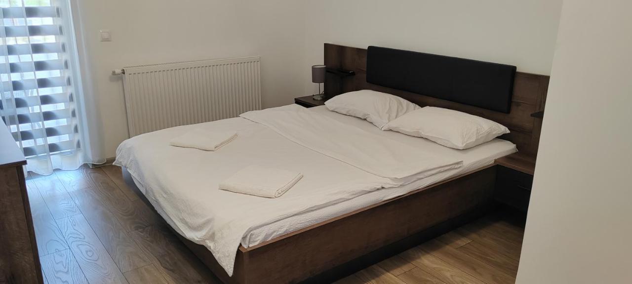 Ludi House Apartment Târgu-Mureş エクステリア 写真