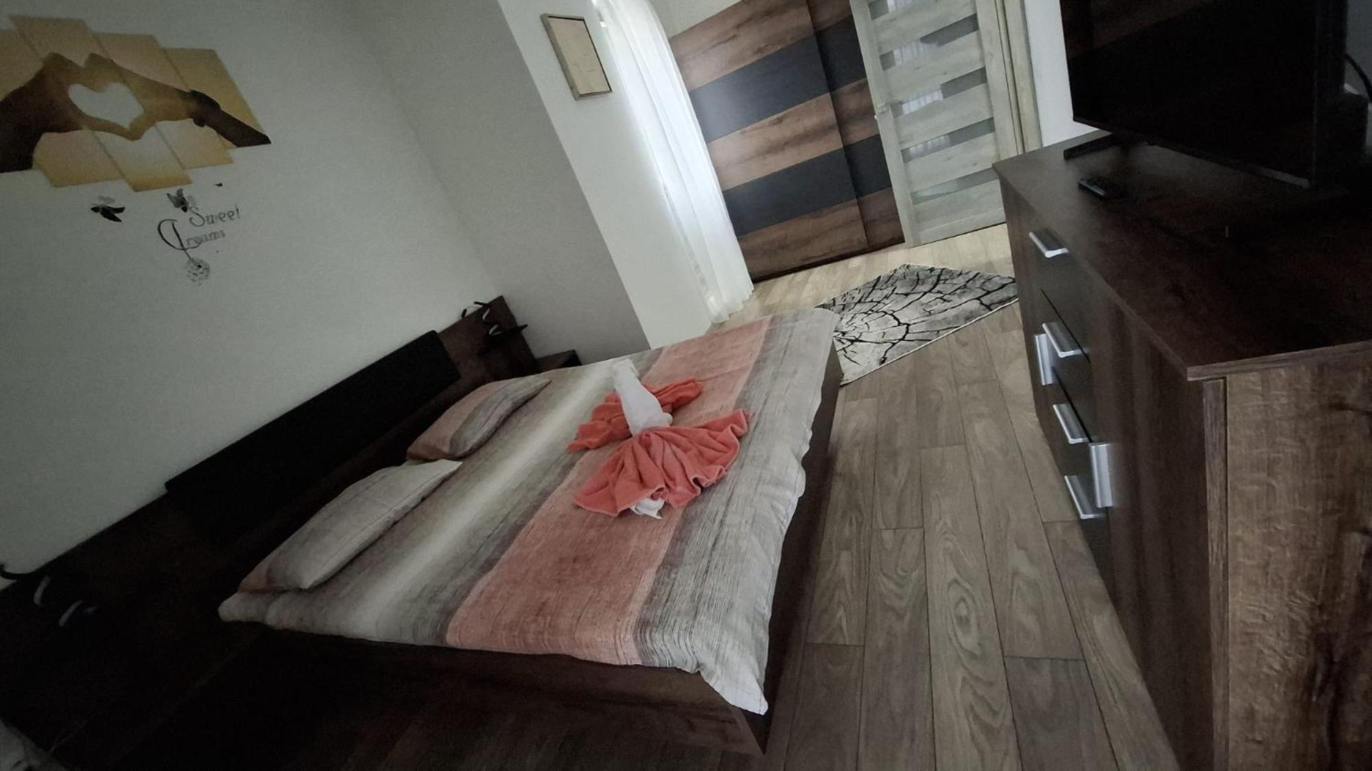 Ludi House Apartment Târgu-Mureş エクステリア 写真