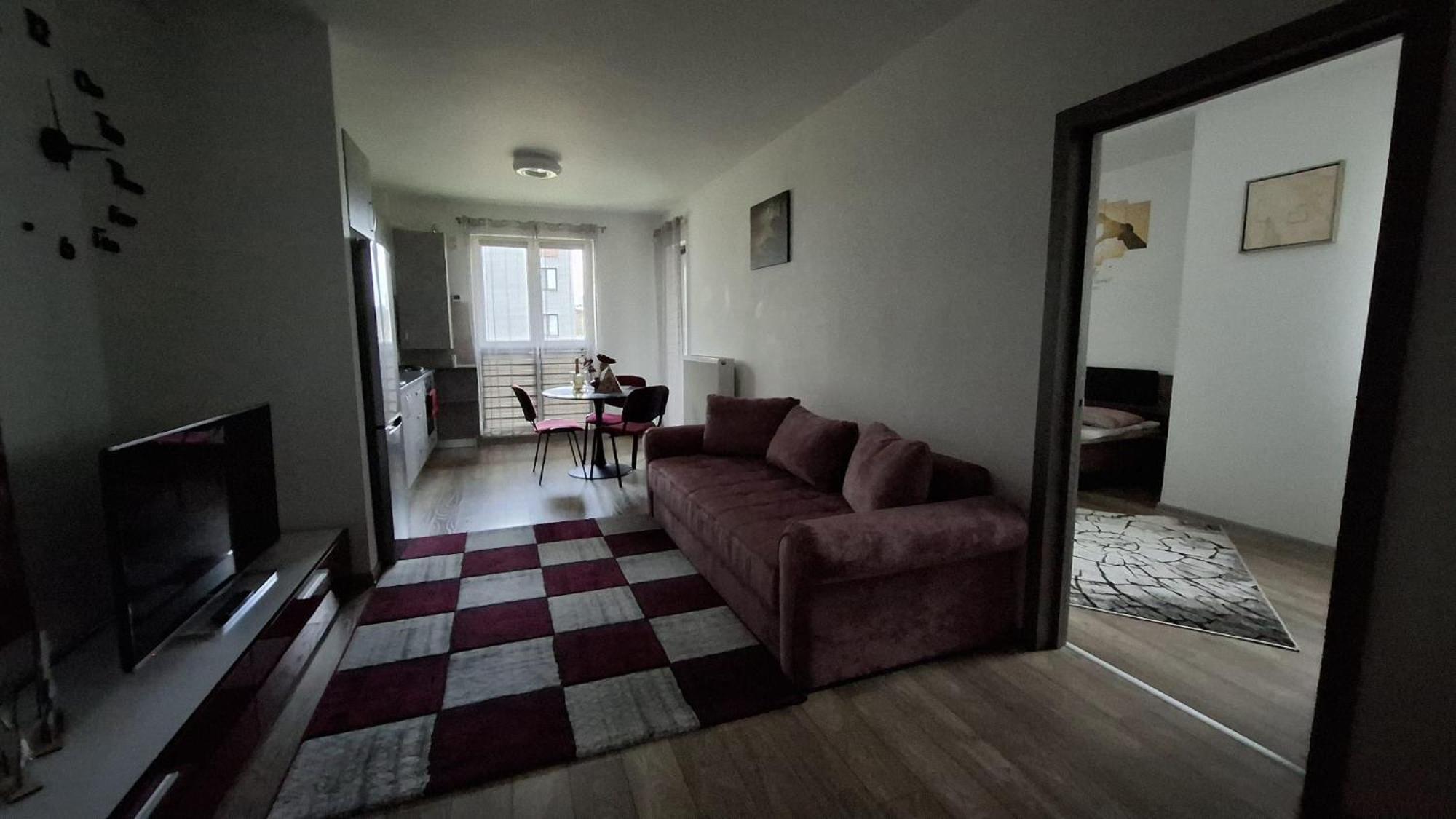 Ludi House Apartment Târgu-Mureş エクステリア 写真
