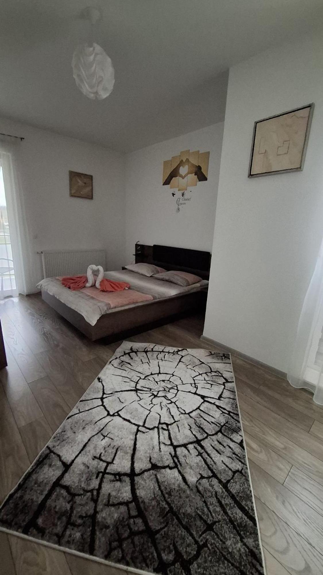Ludi House Apartment Târgu-Mureş エクステリア 写真