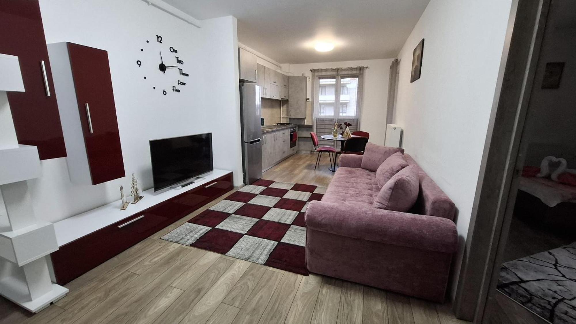 Ludi House Apartment Târgu-Mureş エクステリア 写真